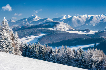 Fototapeta na wymiar Snowy landscape with mountains at sunny day, national park Mala Fatra in Slovakia, Europe.
