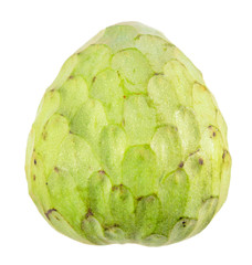 Green cherimoya fruit isolated on white background