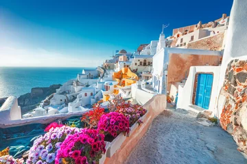 Peel and stick wall murals Mediterranean Europe Santorini, Greece. Picturesq view of traditional cycladic Santorini houses on small street with flowers in foreground. Location: Oia village, Santorini, Greece. Vacations background.
