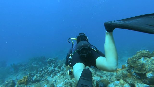 plong&eacute;e sous-marine 