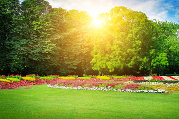 Summer park with beautiful flowerbeds and sun.