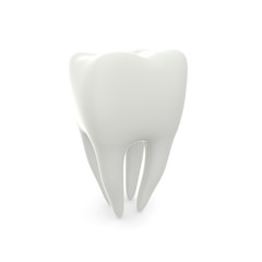 Model of a molar tooth on a white isolated background