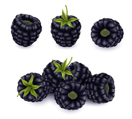 Blackberry set. Forest berry. 3d vector icons realistic.