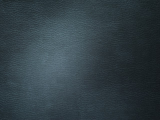 Black leather texture with a light spot background