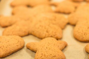 Ginger biscuits lie on a baking sheet. Cookies on baking paper. Selective focus.