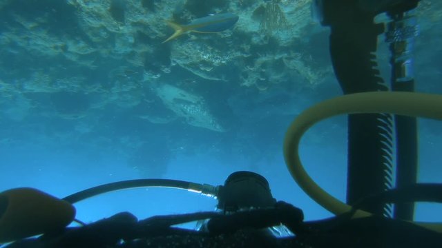 plong&eacute;e sous-marine 