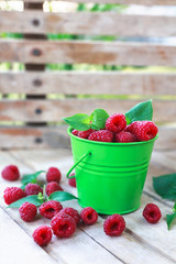 fresh raspberries in the bucket