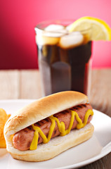 Hotdog and Fries with a Beer