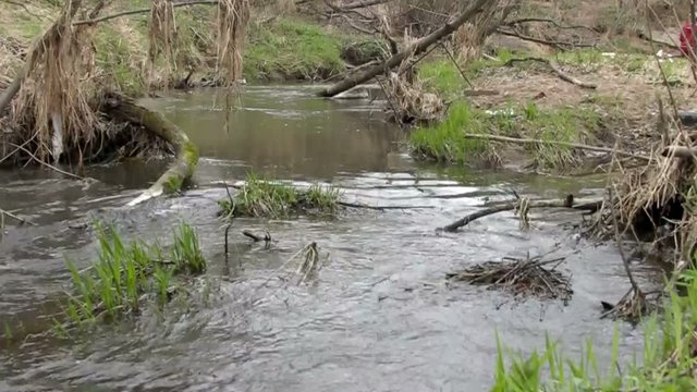 Creek near the severage system.
