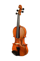 violin isolated on white background