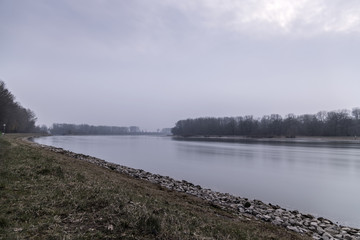 Uferlandschaft am Rhein