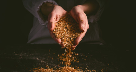 seeds of golden flax in women's palms