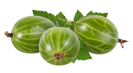 Gooseberry isolated on white background