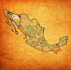 administration map of Mexico with region flags