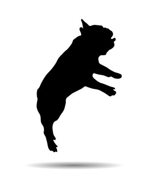 recommend clip art: Silhouette of a French bulldog