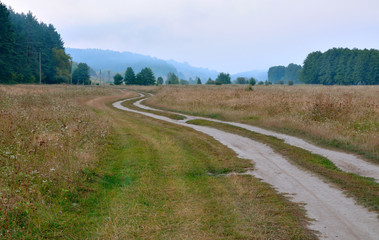 Fototapeta na wymiar landscape winding road in the village