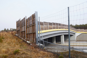 A safe crossing for wild animals above the freeway