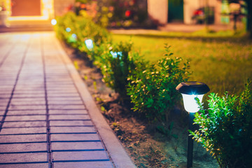 Small Solar Garden Light, Lantern In Flower Bed. Garden Design. 
