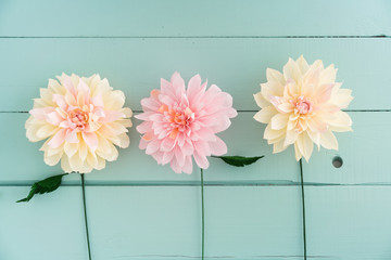 Three crepe paper dahlias on turquoise wooden background © Elisabeth Cölfen