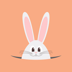 White Easter bunny, rabbit. Vector illustration