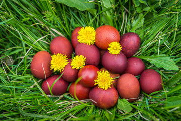 Red easter eggs on the grass with flowers and blowballs, naturally colored easter eggs with onion husks. Happy Easter, Christian religious holiday.
