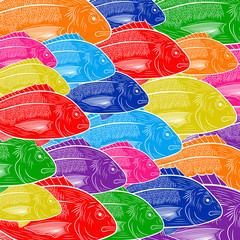 Drawing of sea fish Dorado. Multicolored flock of dorado fish. Sketch, vector illustration