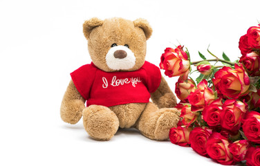 soft toy and flowers on a white background