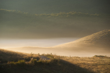 Early morning landscape at Lovcen
