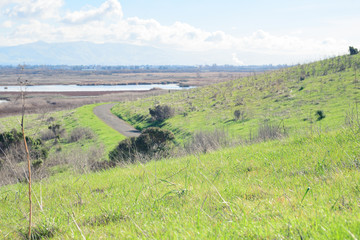 Obraz premium Countryside road in rural landscape