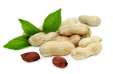 Nuts on white background