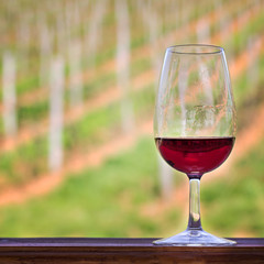 A glass of red wine  against a background of vineyards.