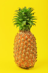 one big whole pineapple on yellow background