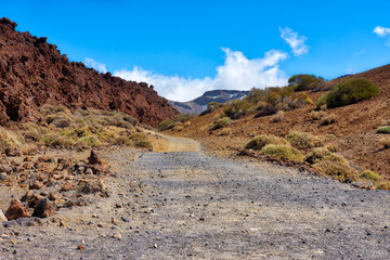 Teide National Park Tenerife