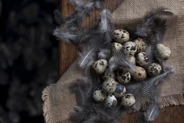 many identical quail eggs. chicken feathers. Photo in a rustic style. Eggs for Easter. Free space for text
