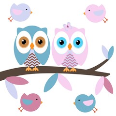 owls on a branch with birds
