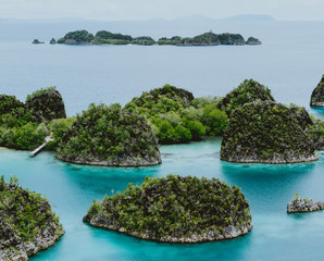 Naklejka premium Painemo, Group of small island in shallow blue lagoon water, Raja Ampat, West Papua, Indonesia