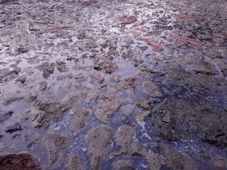 Moor 1
