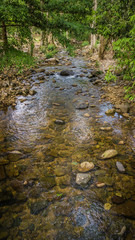 Streams in the forest