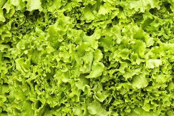 Spring summer detox fruit vegetable diet. Close up of harvest pile. Supermarket stand of clean and shiny vegetables / fruits assortment. Healthy eating concept.