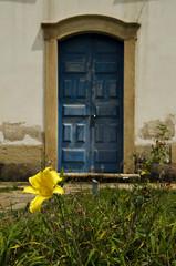 Blue door and yellow flower