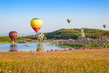 Colorful balloon in summer