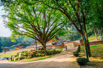 Fototapeta premium Guryongsa temple in Chiaksan mountain national park, Wonju, Korea