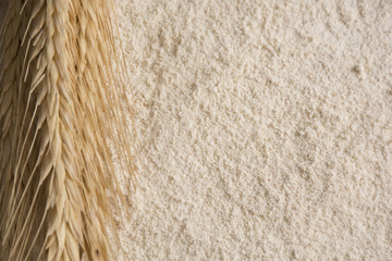 Oat cereal, also called Avena sativa
