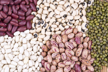 Legumes
