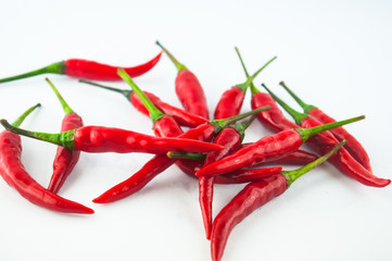 hot chilli