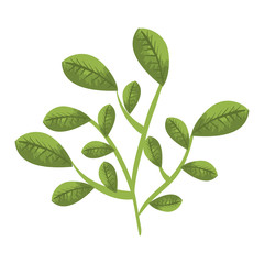 leafs plant natural icon
