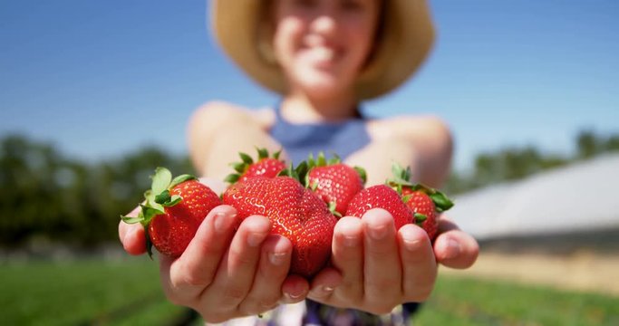 Girl holding strawberries in the farm