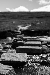 Stone-path across stream