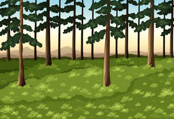 Obraz premium Background scene with trees in forest