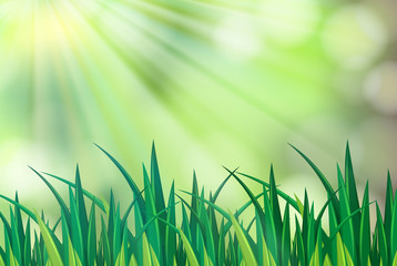 Background scene with green grass